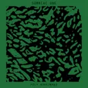 Poly Nightmare by Somniac One - Hard Techno cover art