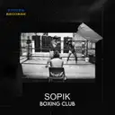 4308 - Original Mix by Sopik - Hard Techno cover art