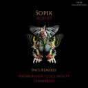 Acid - Terra4Beat Remix by Sopik, Terra4Beat - Hard Techno cover art