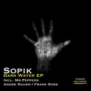 Dark Water - Andre Rauer Remix by Sopik, Andre Rauer - Hard Techno cover art