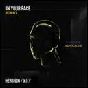 In Your Face - Herbrido Remix by Sopik, Herbrido - Hard Techno cover art