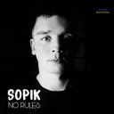 No Rules - Original Mix by Sopik - Hard Techno cover art