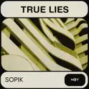 True Lies - Original Mix by Sopik - Hard Techno cover art