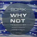 Why Not - Minitronix Remix by Sopik - Hard Techno cover art