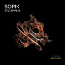 XT3 XapkiB - Original Mix by Sopik - Hard Techno cover art