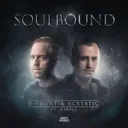 Cover of Soulbound