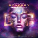 Synergy (Reverze Anthem 2023) by Sound Rush - Hardstyle cover art