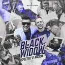 Black Widow by Spectre, NACION - Hardstyle cover art