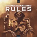 Rules by Spectre, Bright Visions - Hardstyle cover art