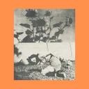 Cover of SPIRITUAL EXECUTION