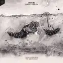 World's Problem by Spitfire - Hardstyle cover art
