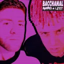 Bacchanal by Spyro, Limit - Happy Hardcore cover art