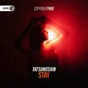 Cover of Stay