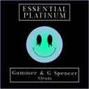 Cover of Steam