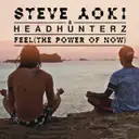 Feel (The Power Of Now) by Steve Aoki, Headhunterz - Hardstyle cover art
