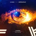 Into the Fire by Stormerz - Euphoric Hardstyle cover art