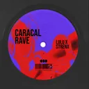 Caracal Rave by Strenx, Lulu - Hard Techno cover art