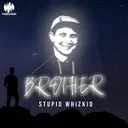 Brother - Extended Mix by Stupid Whizkid - Hardstyle cover art
