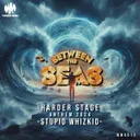 BTS (Harder Stage Anthem 2024) - Extended Mix by Stupid Whizkid - Hardstyle cover art