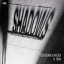 Shadows by Sub Sonik, RAYZEN, TNYA - Rawstyle cover art