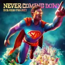 Never Coming Down by Sub Zero Project - Hardstyle cover art