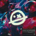 Won’t Let Me Down by Sub Zero Project, Teddy Bee - Hardstyle cover art