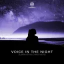 Voice In The Night by Subraver, Chris Niers - Hardstyle cover art