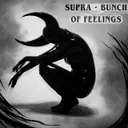 Bunch Of Feelings by Supra - Hard Techno cover art