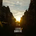 Cover of Survive