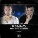 Cover of Survive