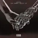 You Can Not Resist - Stripped Down Edit by Svetec - Hard Techno cover art