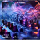 Cover of Switch It Up