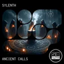 The Ritual - Radio-Edit by Sylenth - Hardstyle cover art