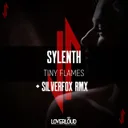 Tiny Flames - Silverfox Remix by Sylenth, Silverfox - Hardstyle cover art
