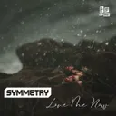 Love Me Now - Radio Edit by Symmetry - Hardstyle cover art