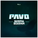 Raven - Synthsoldier Remix by Synthsoldier, Pavo - Euphoric Hardstyle cover art