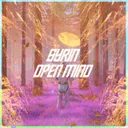 Open Mind - Radio Edit by syrin - Euphoric Hardstyle cover art