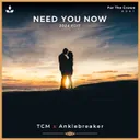 Need You Now - 2024 Edit by TCM, Anklebreaker - Euphoric Hardstyle cover art