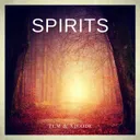 Spirits by TCM, Xjcode - Euphoric Hardstyle cover art