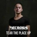 Cover of Tear The Place Up - Radio Edit