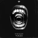Voices by Tears Of Fury - Hardcore cover art