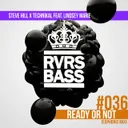 Ready or Not - Euphoric Mix by Technikal, Steve Hill, Lindsay Marie - Hardstyle cover art