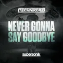 Never Gonna Say Goodbye - Extended Mix by Technikore - Happy Hardcore cover art