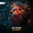 Cover of Tell Me Why