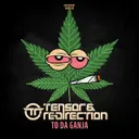 To da Ganja by Tensor & Re-Direction - Hardcore cover art
