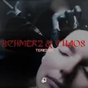 Schmerz & Chaos by Terminal - Hard Techno cover art