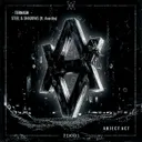 Steel and Shadows by Ternash, Anarchy - Hard Techno cover art