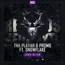 Down below - Dj Mix by Tha Playah, Promo, Snowflake - Doomcore cover art