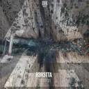 Cover of The Abyss