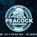 Cover of The Answer